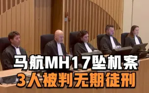 Download Video: 荷兰法院判决马航MH17坠机案 三名嫌犯谋杀罪名成立