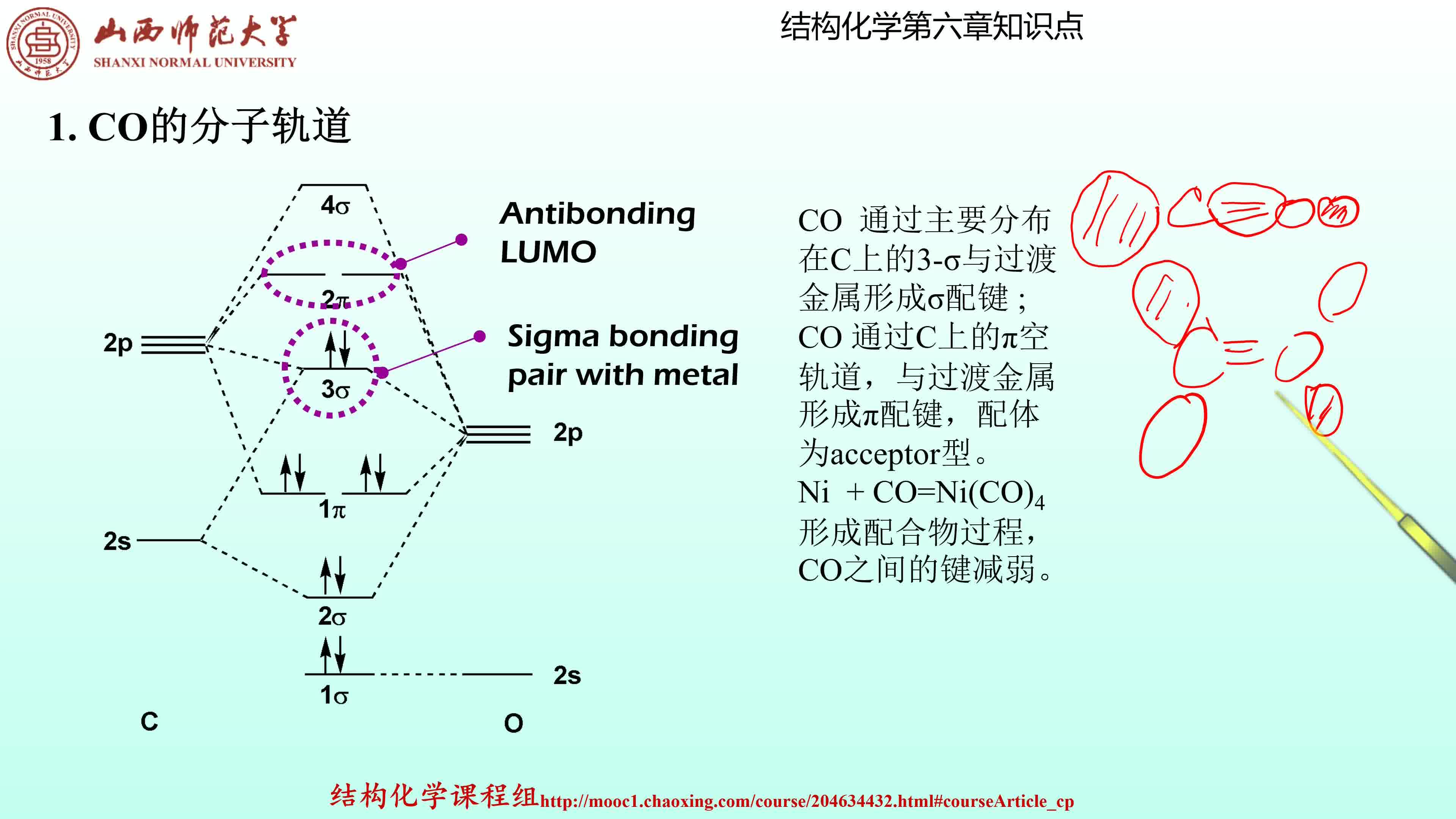 山西师范大学 结构化学 第六章 知识点4 过渡金属羰基配合物的结构哔哩哔哩bilibili