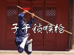 Download Video: 武当子午锁喉枪