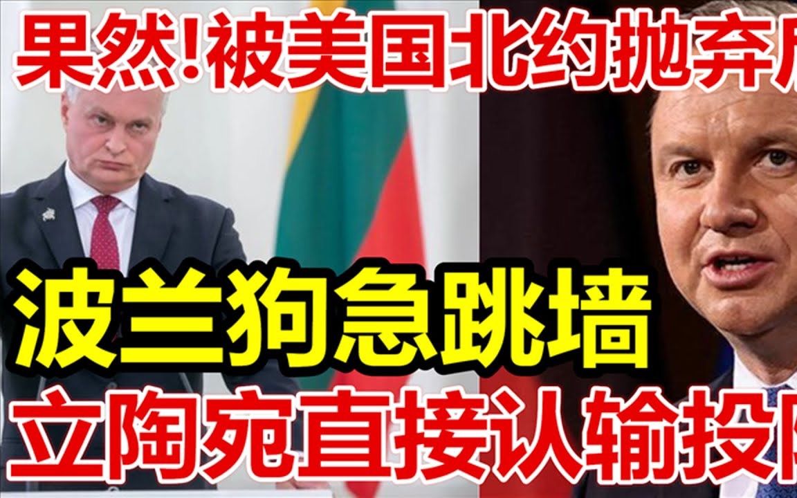 果然、被美国北约抛弃后、波兰狗急跳墙、立陶宛直接认输投降、哔哩哔哩bilibili