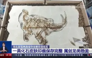 河北发现两具保存完整恐龙化石