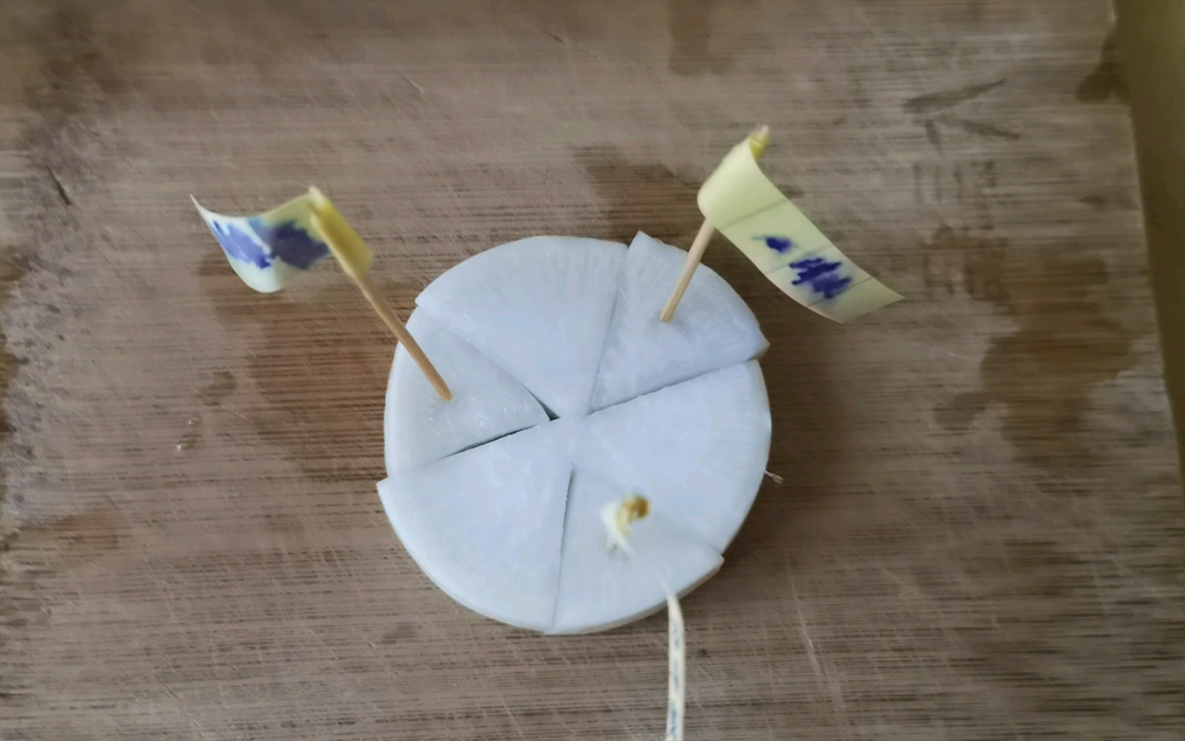 初中生物实验观察溶液浓度的大小对植物吸水的影响