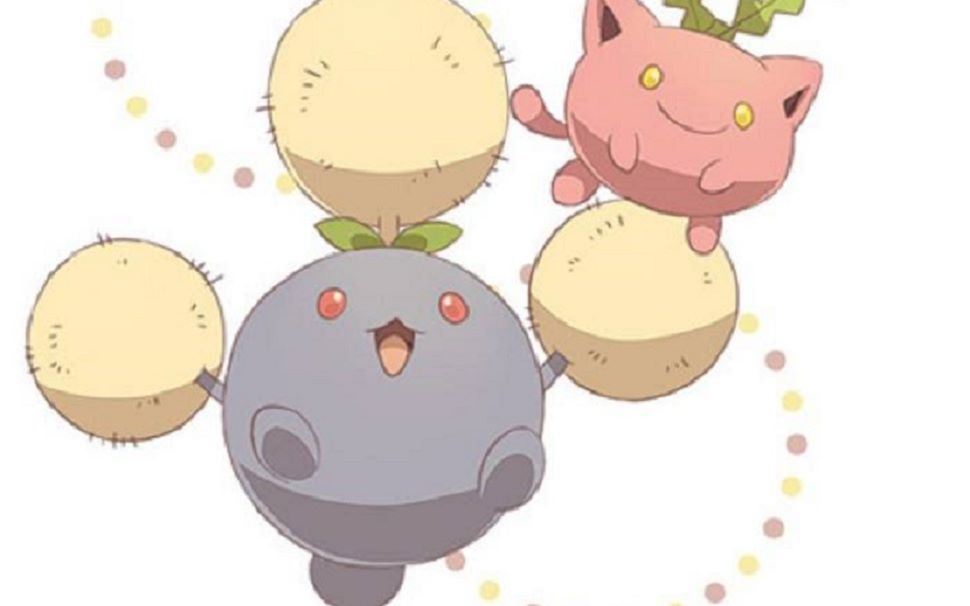 【口袋妖怪蓝宝石】毽子花进化毽子棉