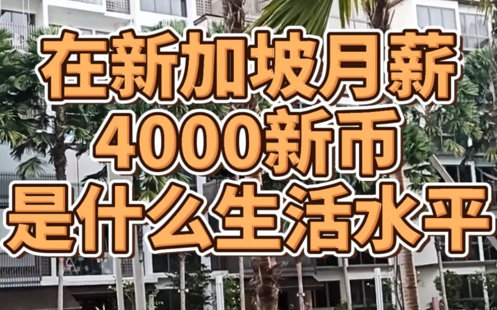 在新加坡月薪4000新币,是什么生活水平.#新加坡生活哔哩哔哩bilibili