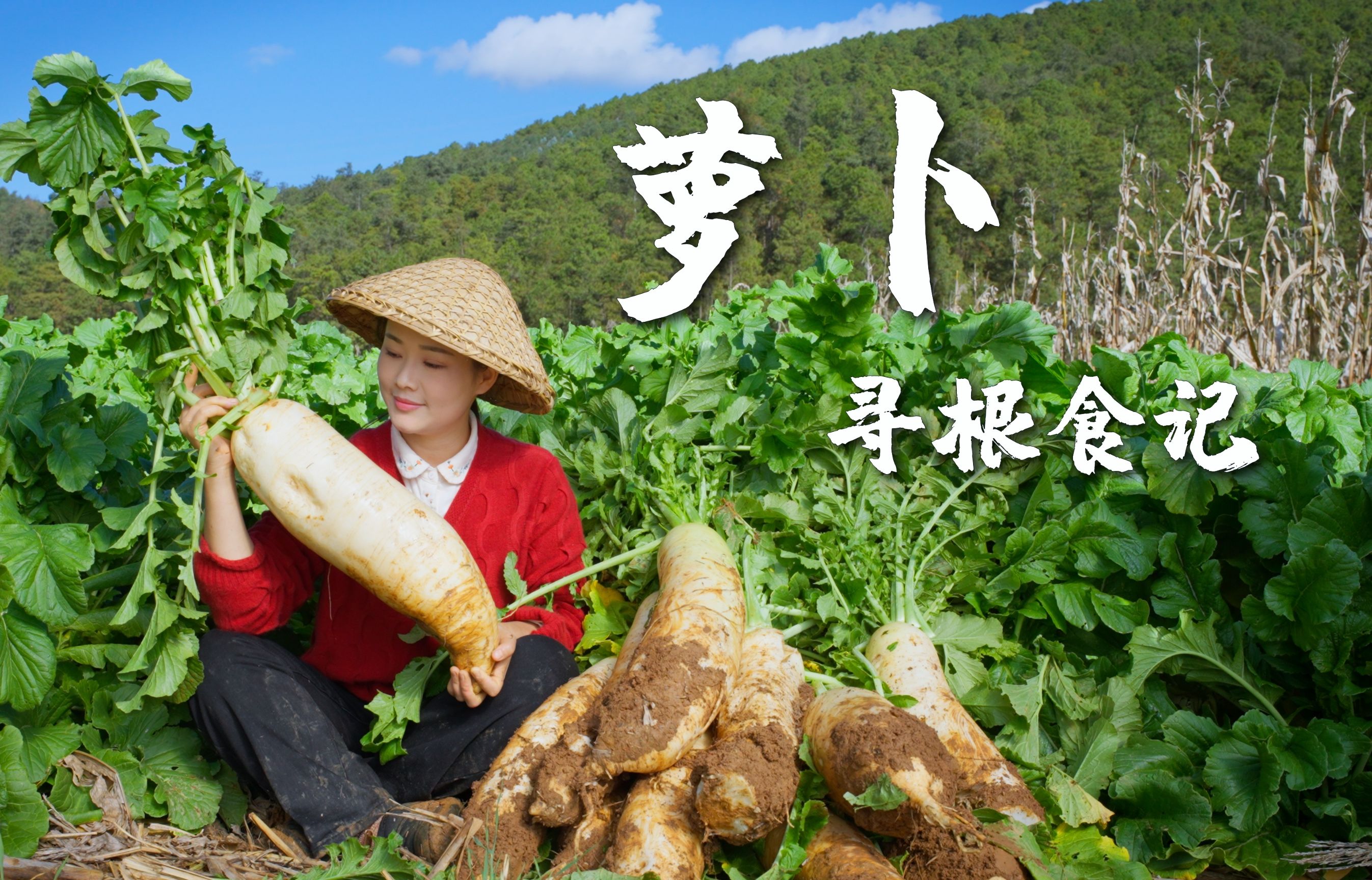 [图]寻根食记（五）——冬吃萝卜夏吃姜，不用医生开药方