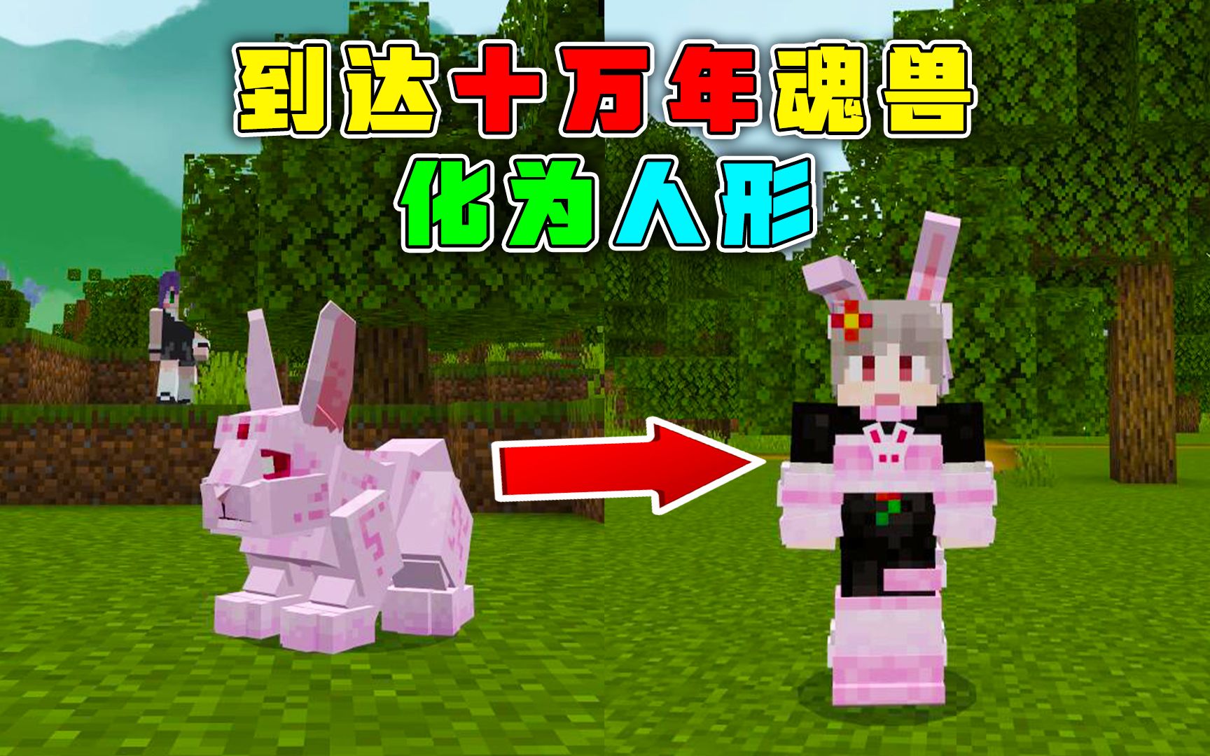 修炼到达十万年魂兽!最后决定化为人形!