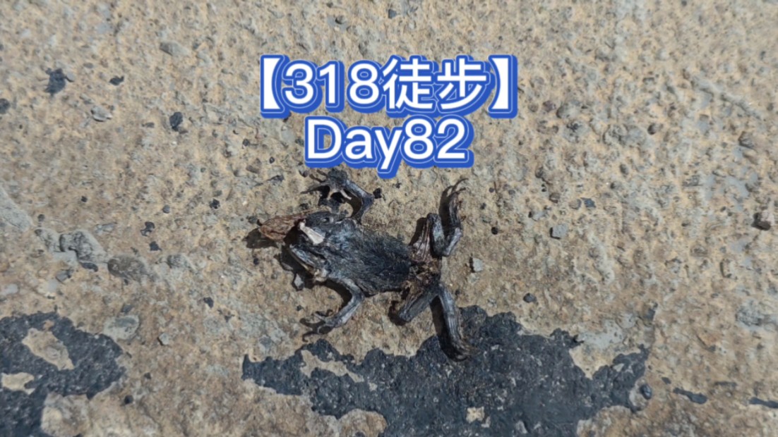 【318徒步】Day82,日多乡扎西岗乡哔哩哔哩bilibili