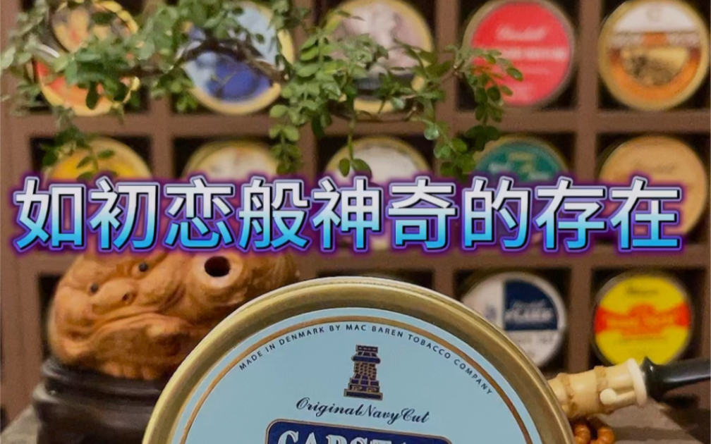 佛系浅谈斗草～蓝绞盘如初恋般的存在!