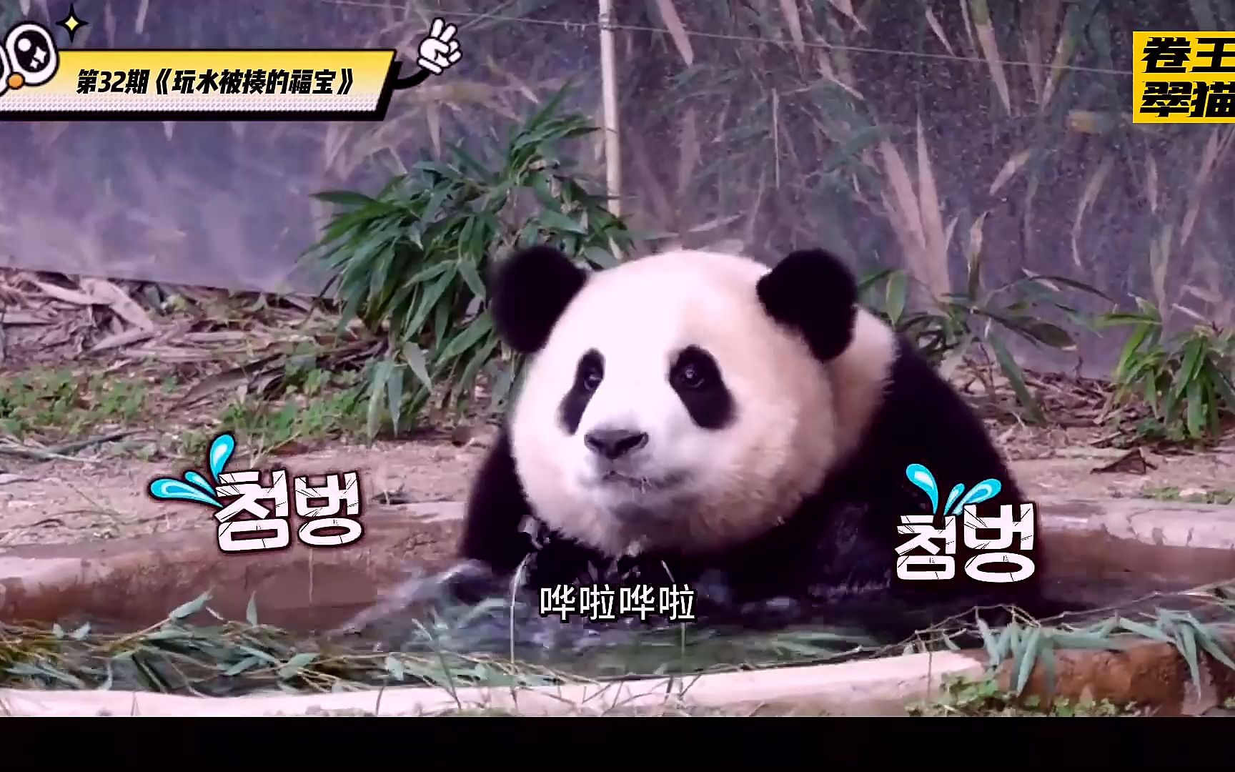 福宝玩水弄得浑身湿漉漉的,再往土里一打滚,爱宝气的一顿揍