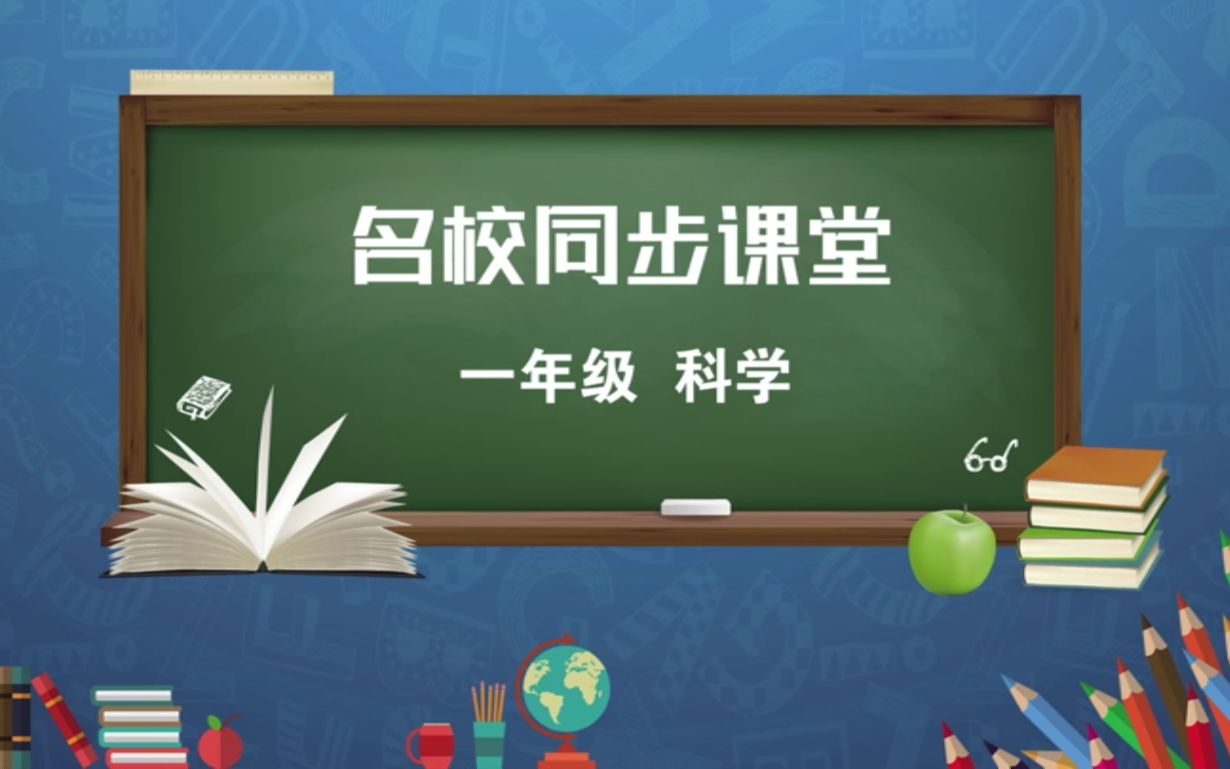 一年级科学  河南停学不停课 公共课堂哔哩哔哩bilibili