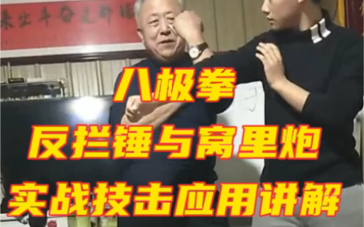 八极明师【李俊义】先生讲解八极拳~反拦锤与窝里炮讲解应用哔哩哔哩bilibili