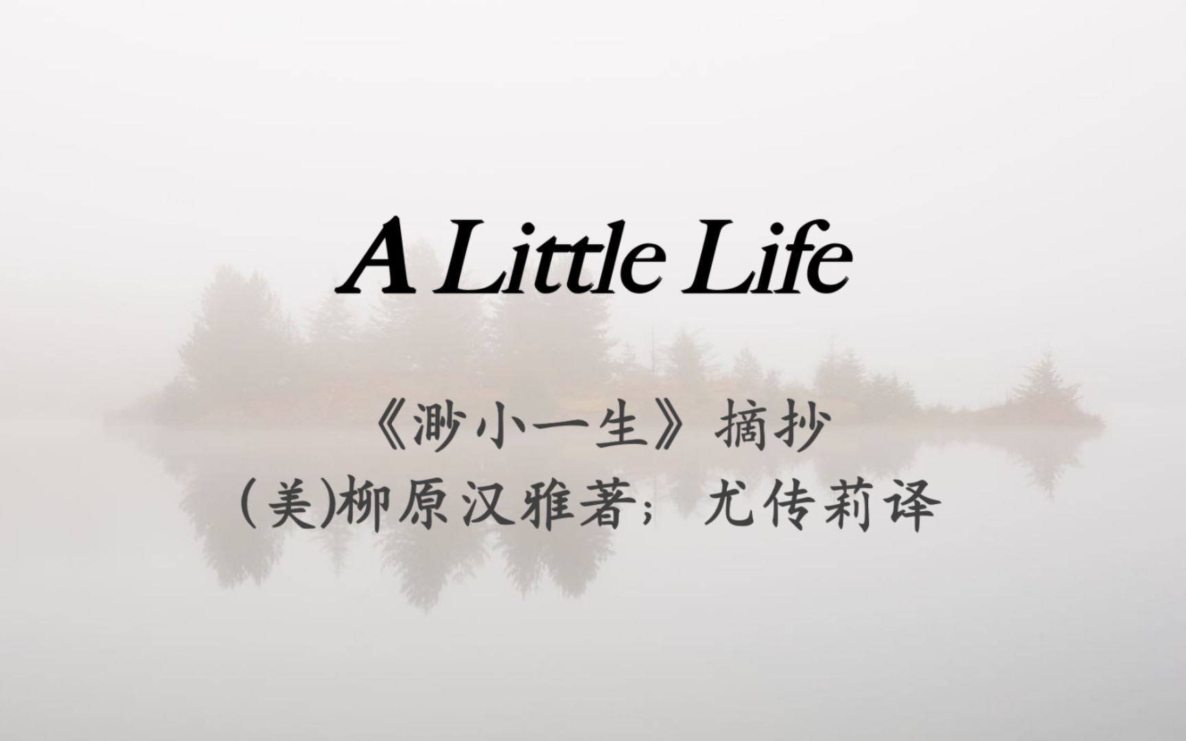 【读书A Little Life】《渺小一生》:他本来就知道自己这一生很渺小,但这么一来,他觉得更渺小了.哔哩哔哩bilibili