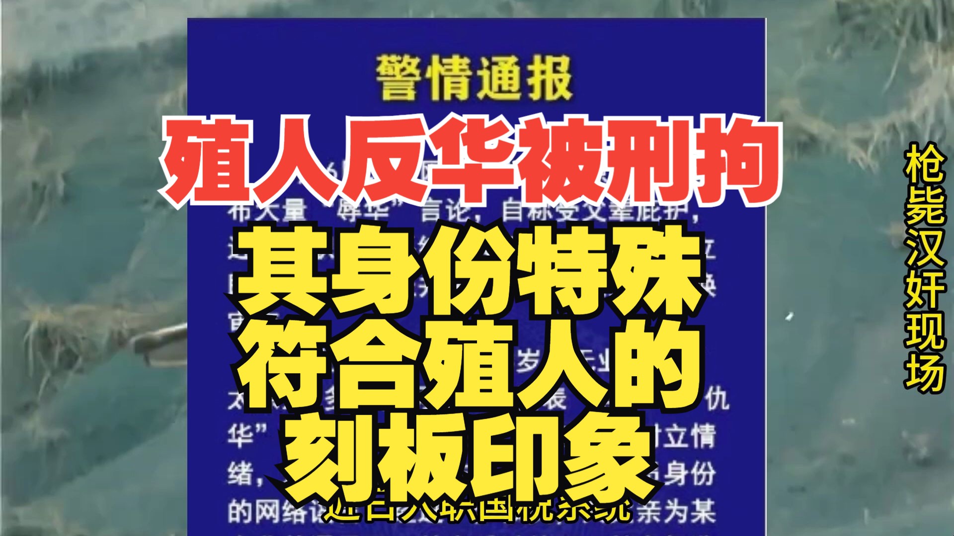 殖人在推特上装党员反华辱华,被捕后发现竟然是无业游民哔哩哔哩bilibili