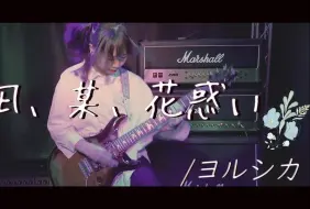 Download Video: 好强！日本少年乐队翻玩ヨルシカ乐队《夕凪、某、花惑い》🎸