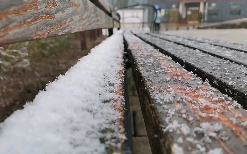 南部县伏虎镇《寺外桃源》的雪哔哩哔哩bilibili