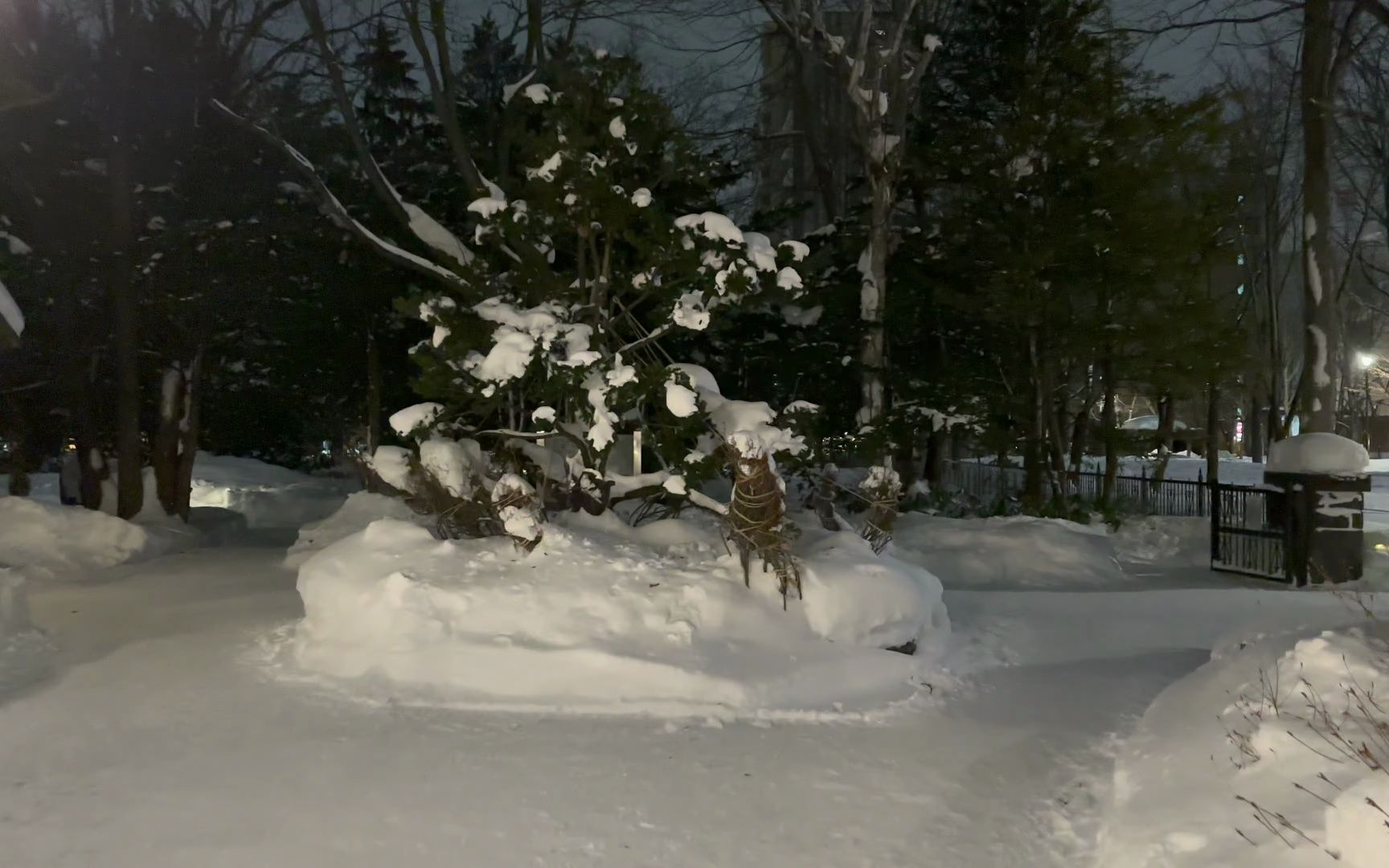 【超清日本】【北海道】【4K】2023 夜晚札幌市白雪皑皑的札幌哔哩哔哩bilibili