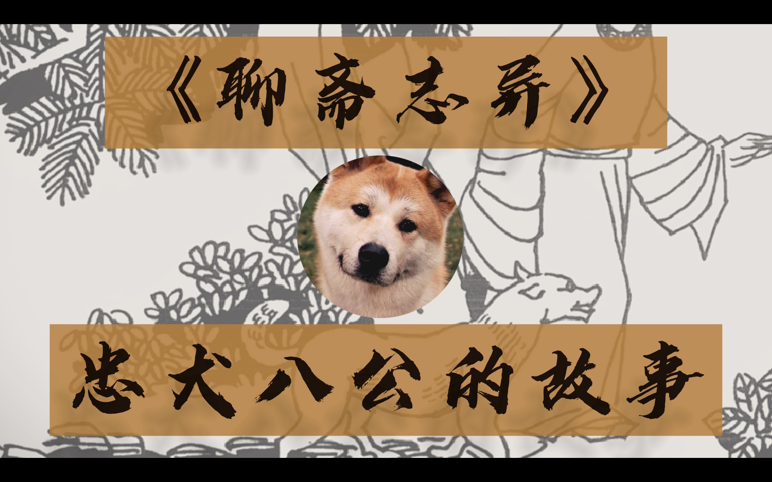 [图]义犬：蒲松龄版【忠犬八公的故事】