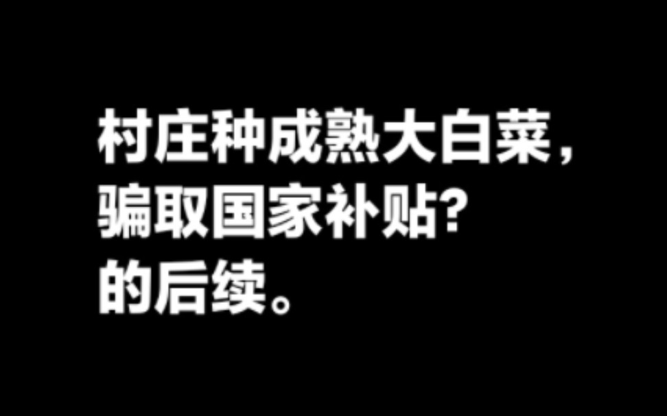 村庄种成熟大白菜骗取国家补贴?的后续.哔哩哔哩bilibili