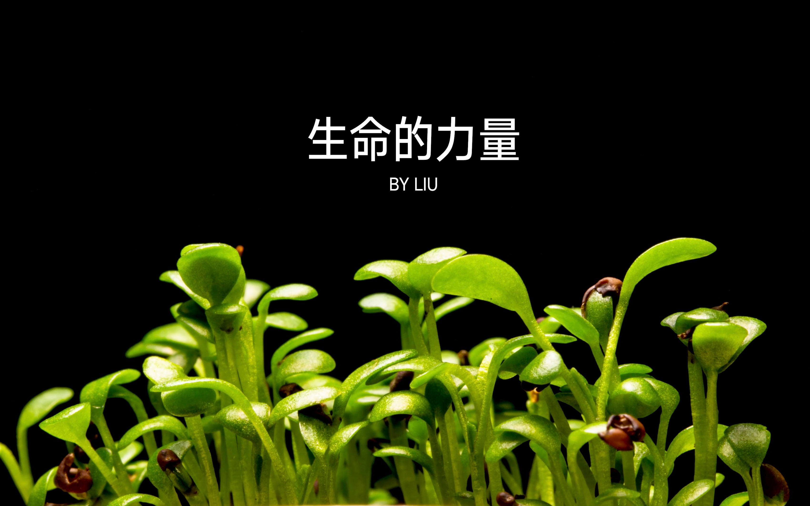植物破土而出