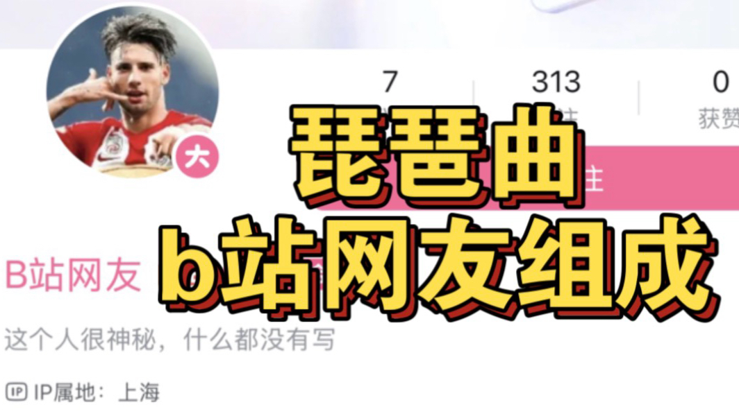 琵琶曲（b站网友版）