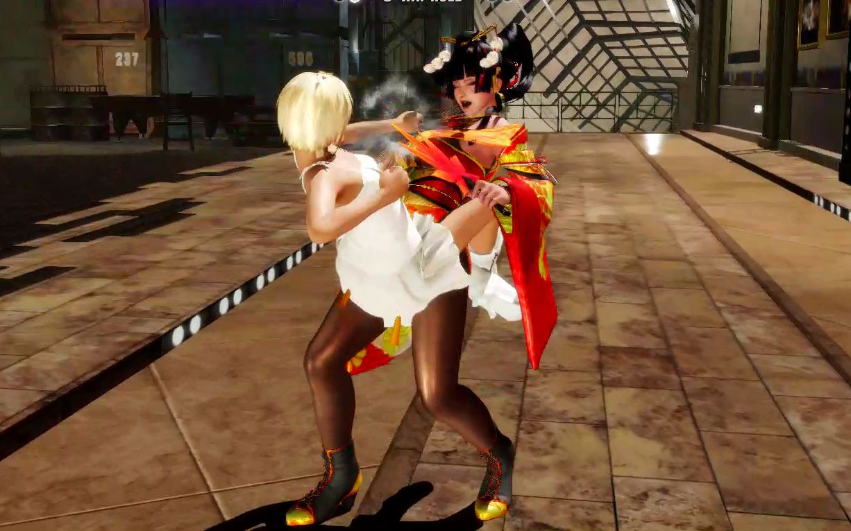 死或生6 mod 玛丽 vs 女天狗