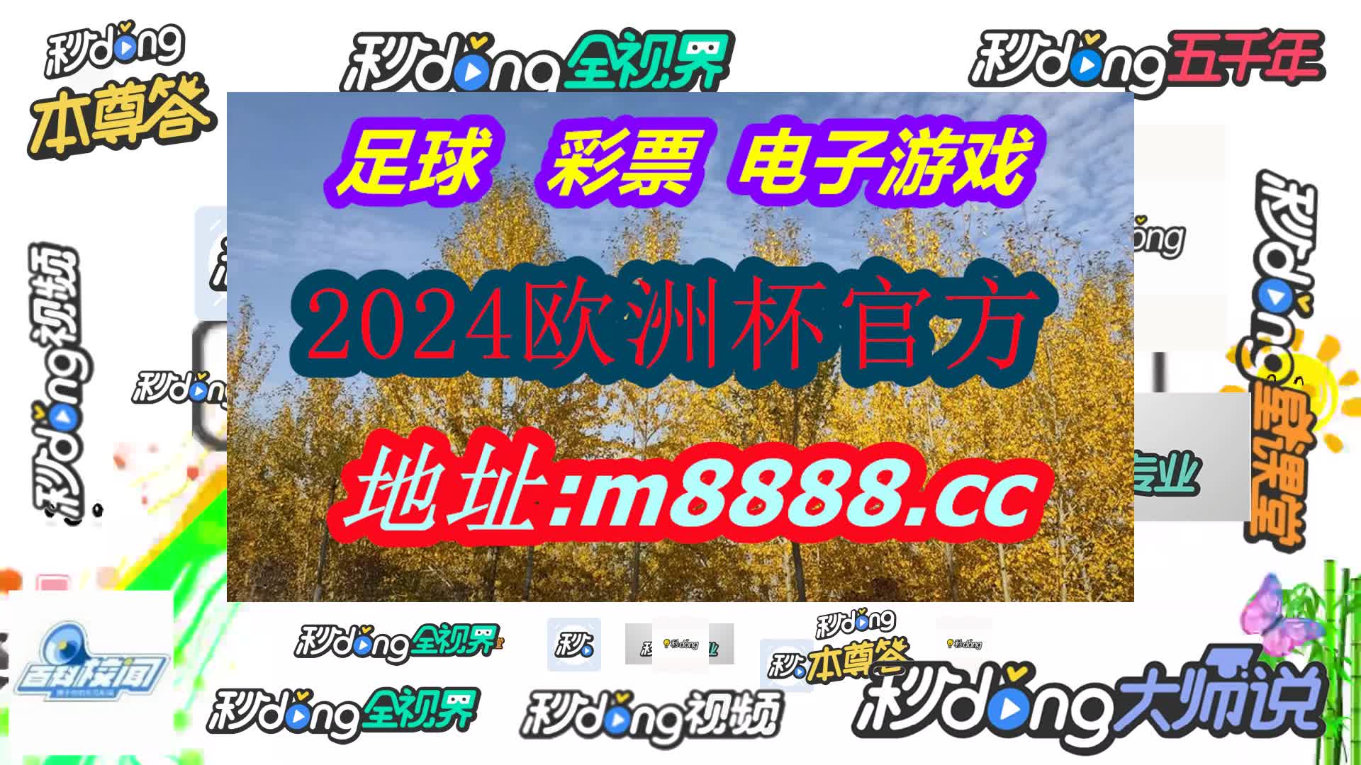 2024年澳门精准资料大全(哔哩哔哩)609期