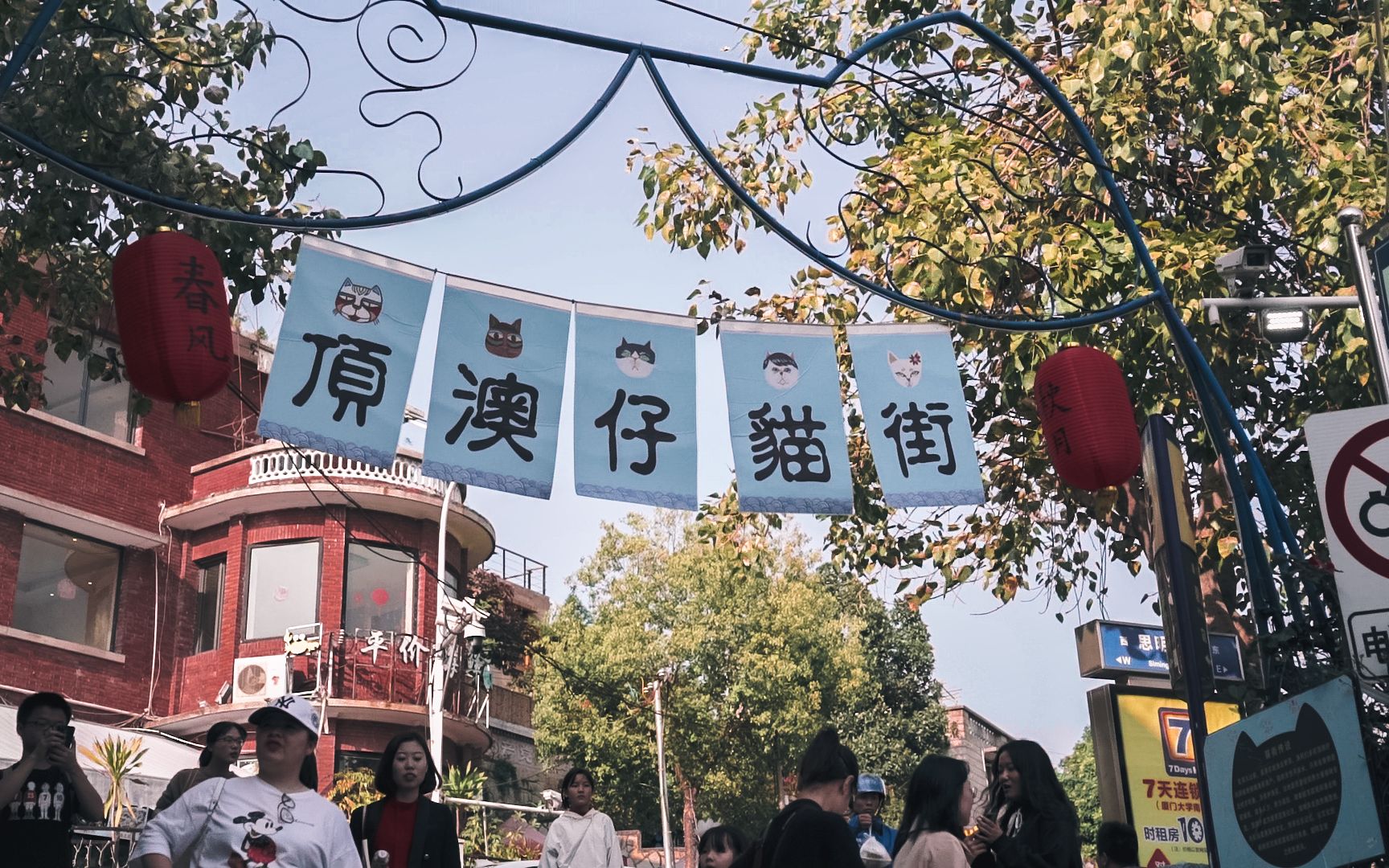 厦门最出名猫街顶澳仔猫街