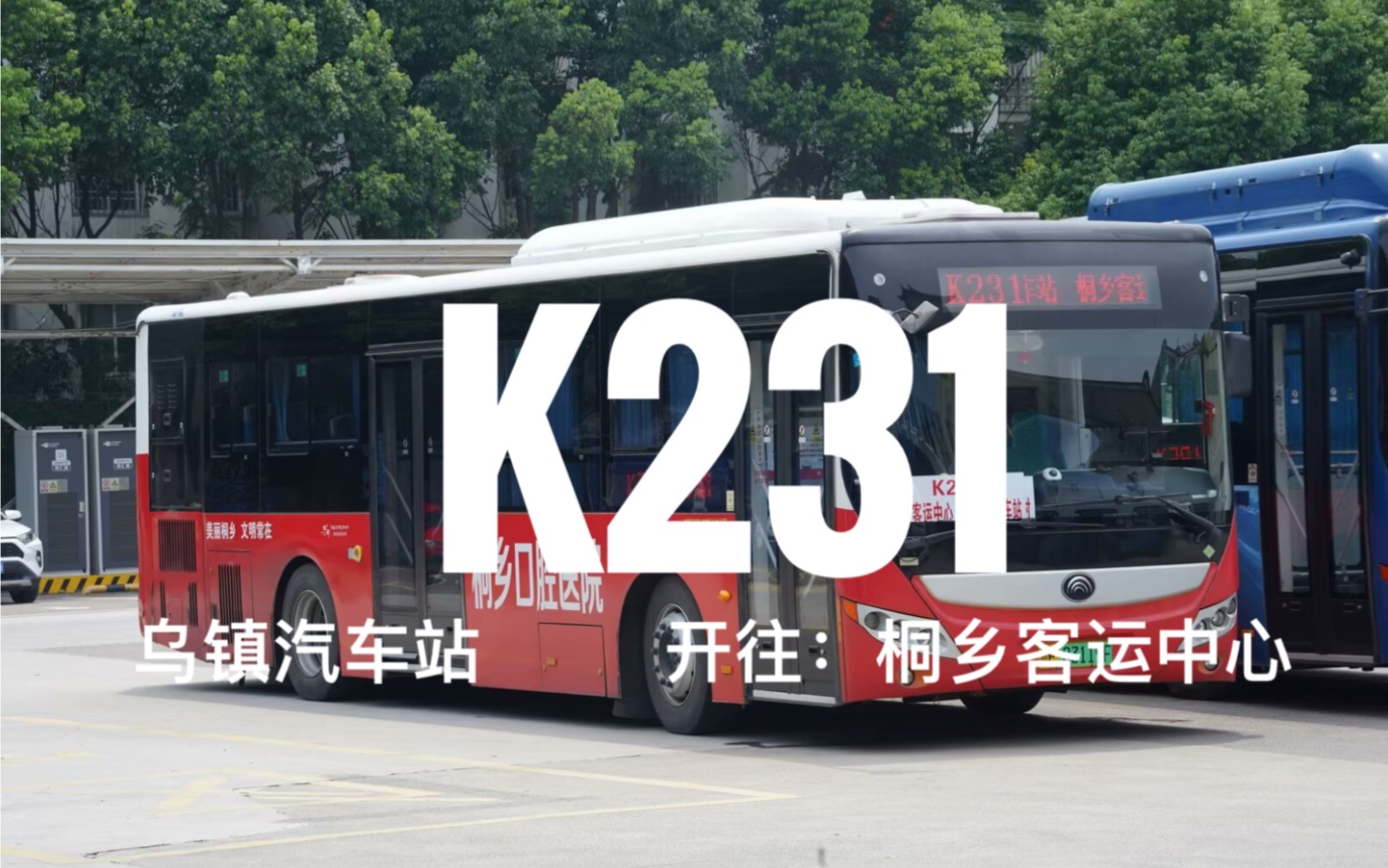 「车迷小日常嘉兴系列」乌镇桐乡一线牵,嘉兴k231路由乌镇汽车站开往