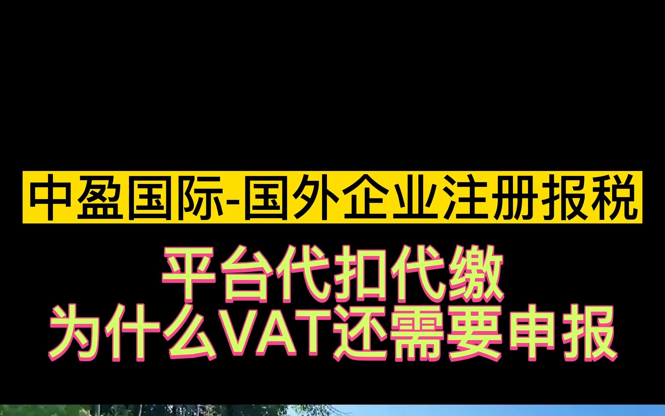 平台代扣代缴,为什么VAT还需要申报哔哩哔哩bilibili