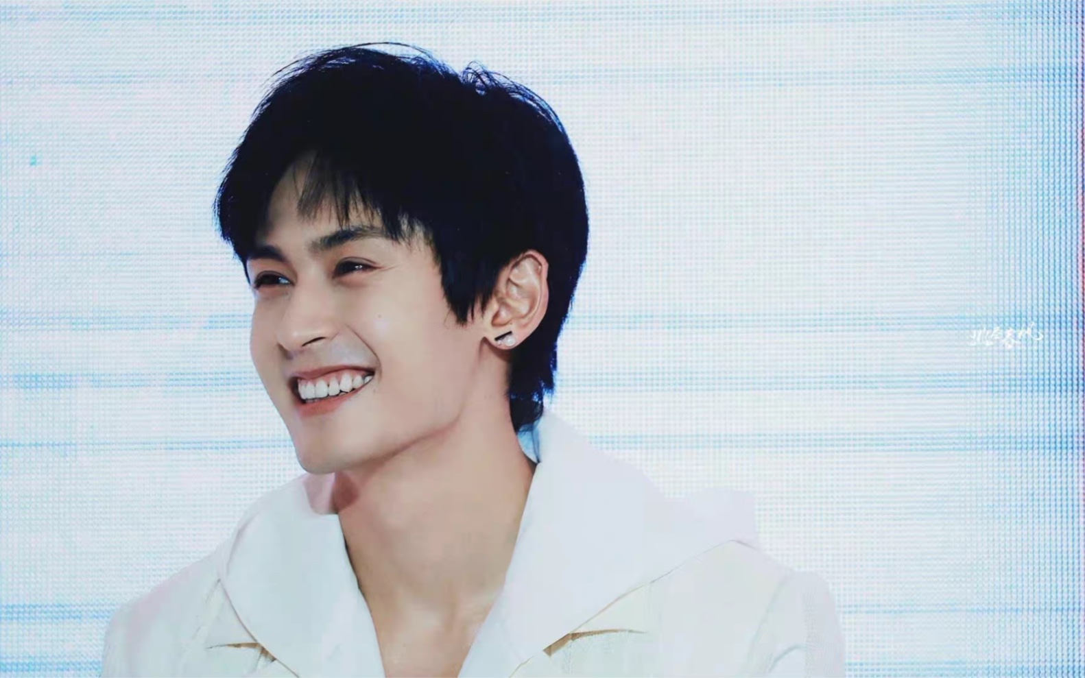 [张哲瀚]可爱猫猫,谁能不爱