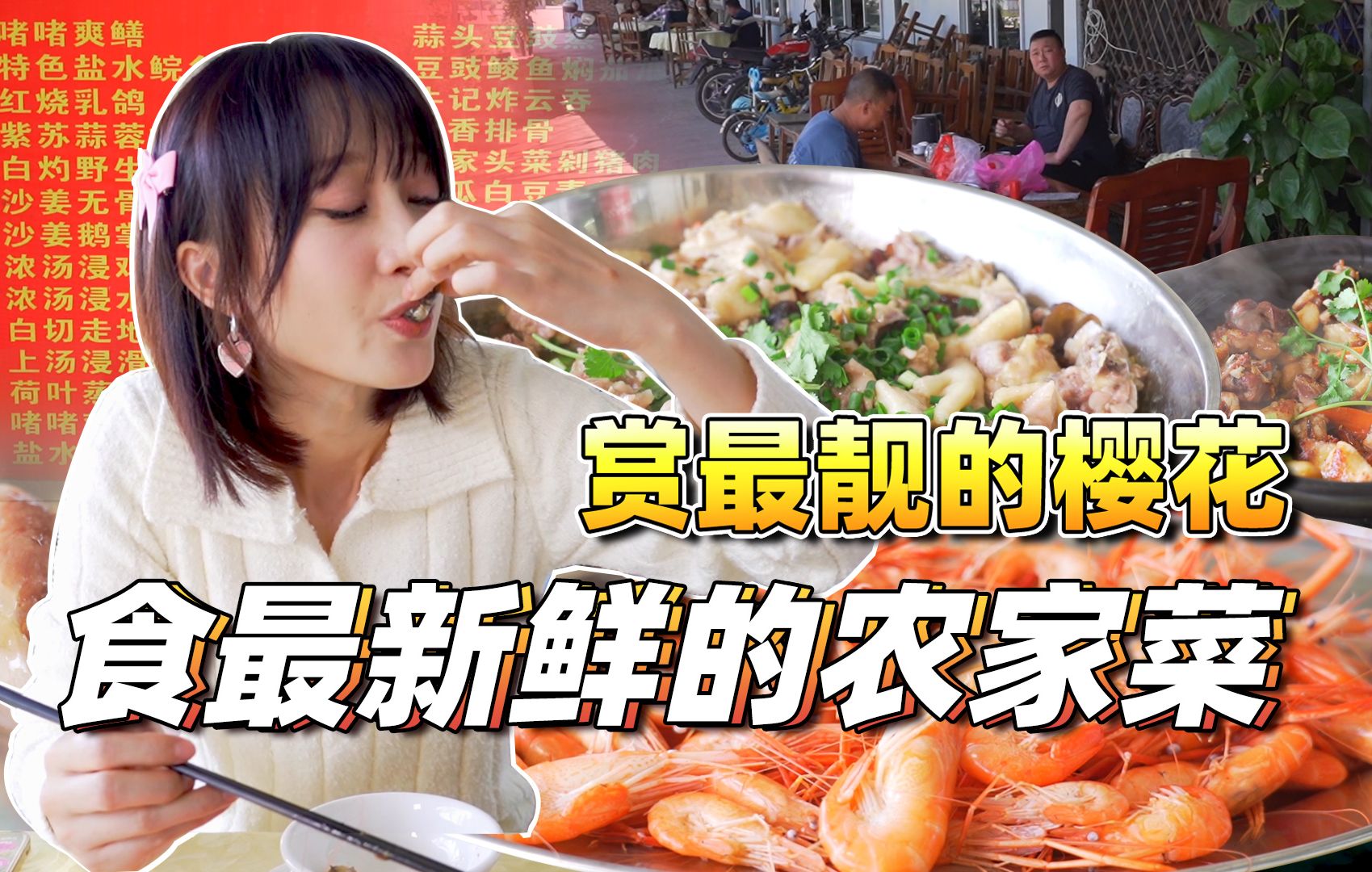 【品城记】在广州看樱花,真的一点都不输日本!