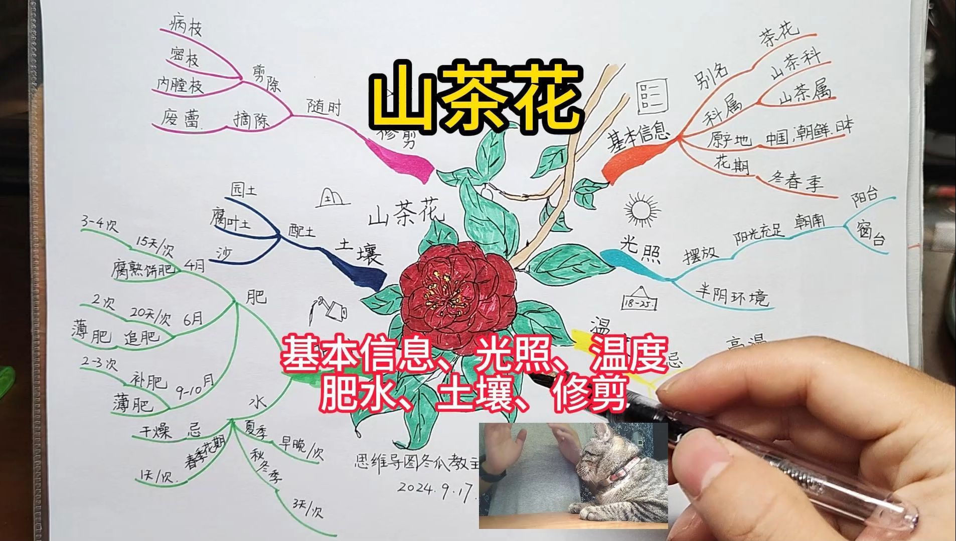 思维的火花思维导图图片