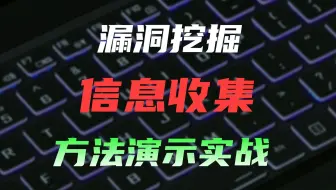 一个视频学会漏洞信息收集的方法、实战演示【漏洞挖掘/信息收集】