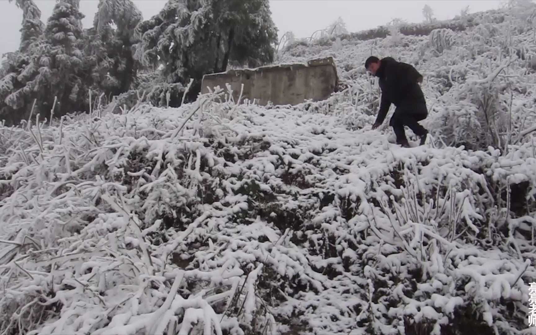 【山村支教】高寒山区大雪结冰,学校断水,支教老师及时去山上看水疏通水管,一路上踩冰嘎嘣响,听声音就知道真冷 | 山村支教哔哩哔哩bilibili