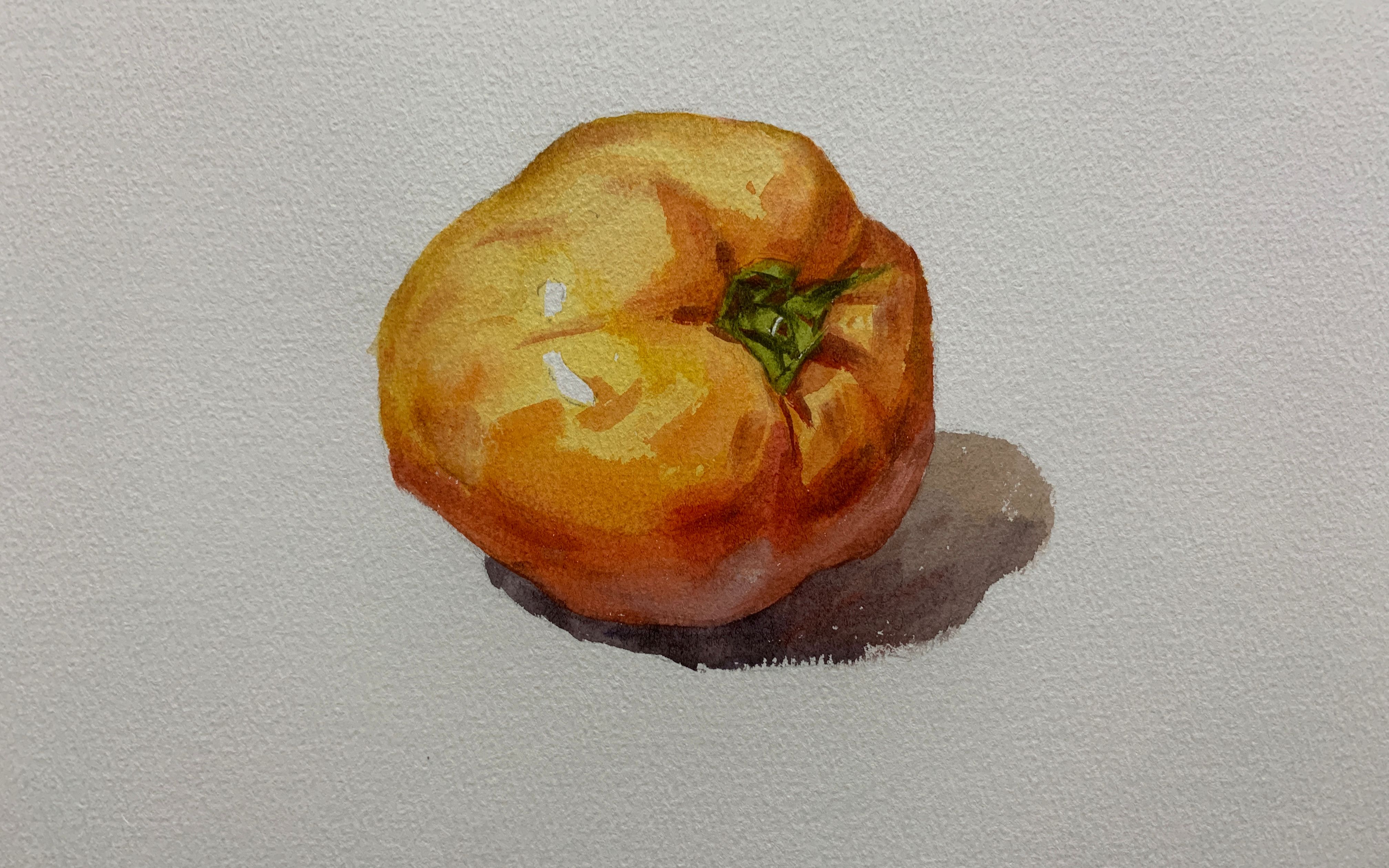 水彩 西红柿画法