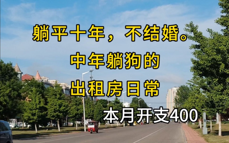 躺平十年,不结婚,中年躺狗租房日常|本月开支400,陪老乡去建材城有感哔哩哔哩bilibili