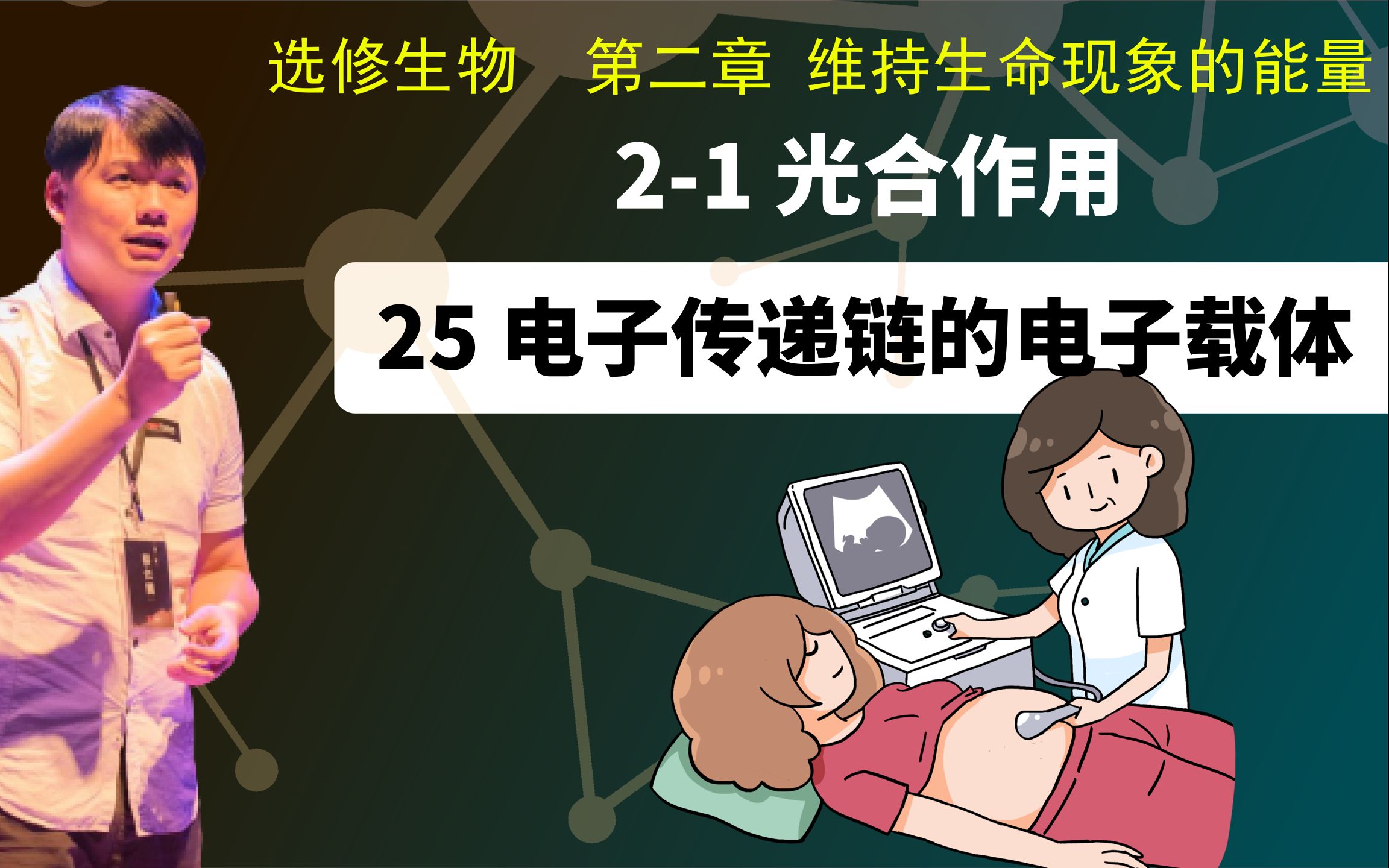 选修生物21.25 电子传递链的电子载体哔哩哔哩bilibili