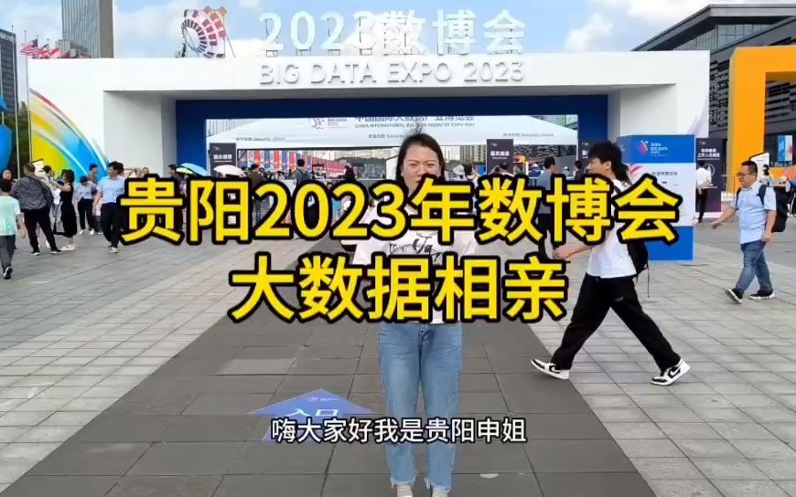 贵阳2023年数博会展览大数据征婚哔哩哔哩bilibili