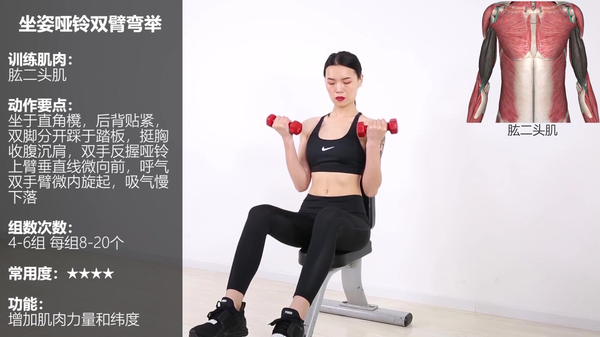 瘦手臂站姿双臂锤式弯举动岚健身教练培训学院