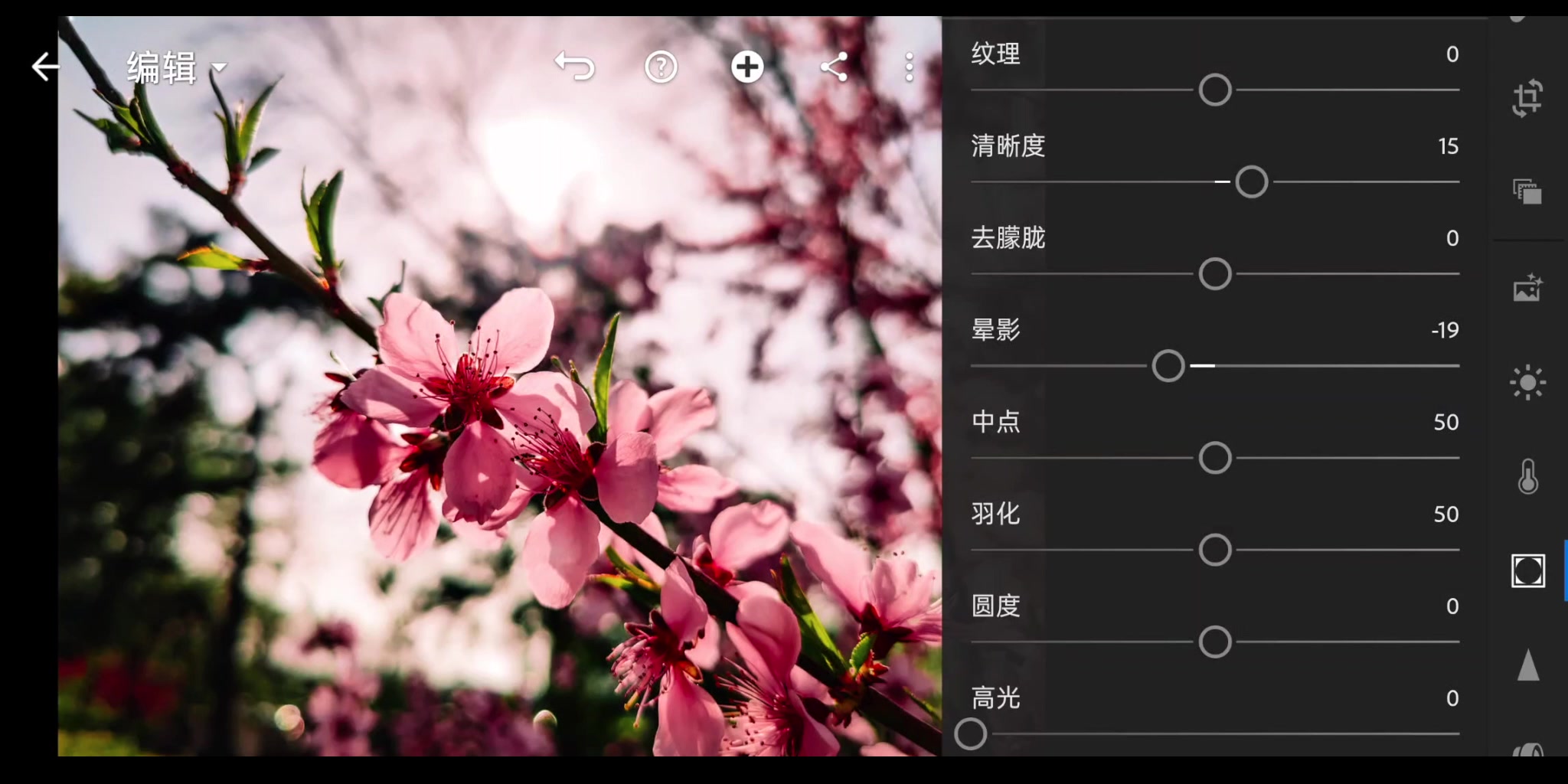 [图]Tutorial | Lightroom Mobile后期处理，让逆光的花朵变得更生动——摄影师钟楼怪人