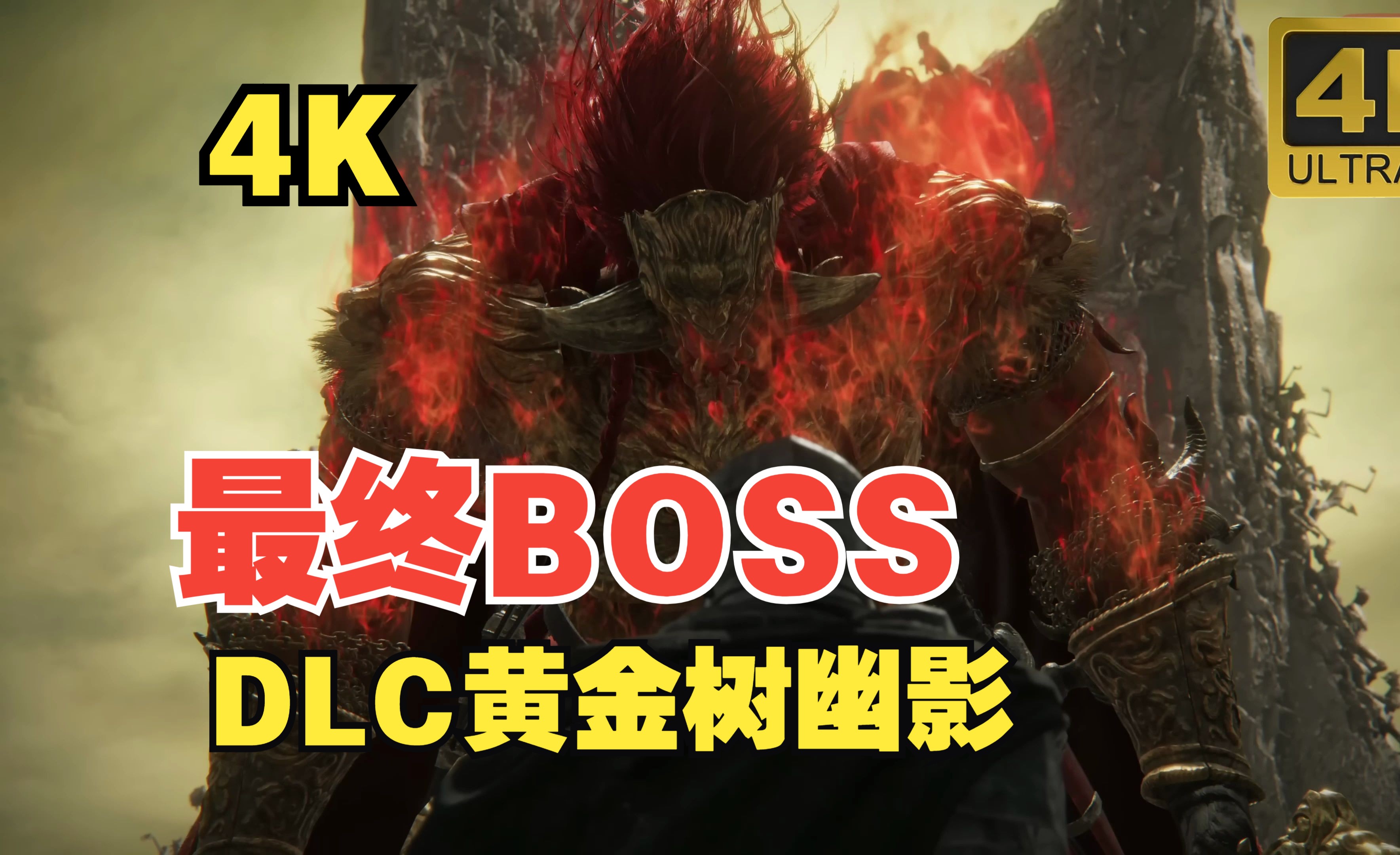 [图]艾尔登法环 DLC 黄金树幽影 最终boss战 + 结束画面 4K无损高画质 优先一睹为快！