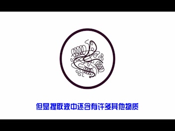 酶的探索哔哩哔哩bilibili