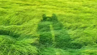 “我们会在无数个夏天的风里 继续相见～”
