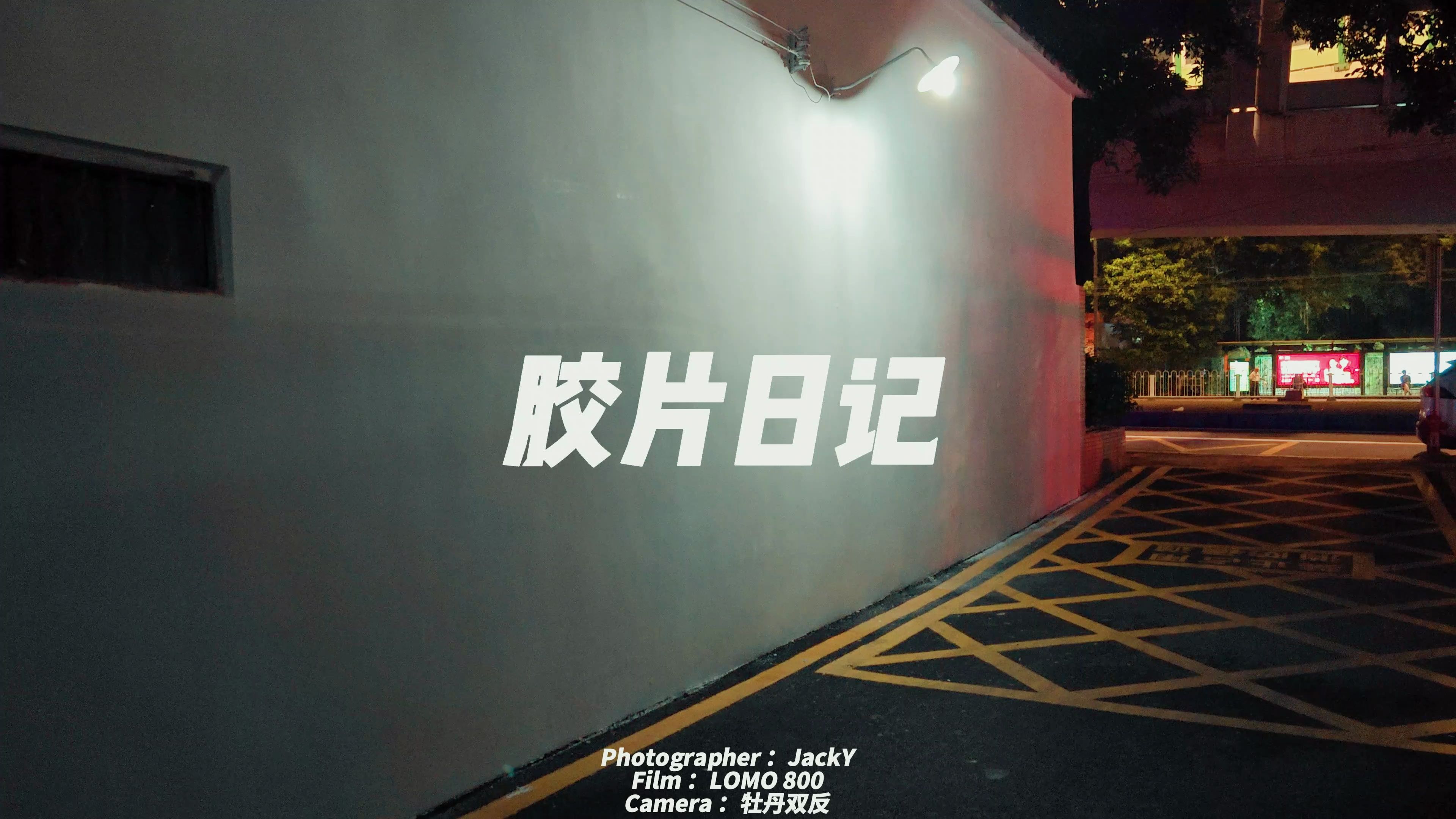 胶片摄影 / 滨江路 / lomo800