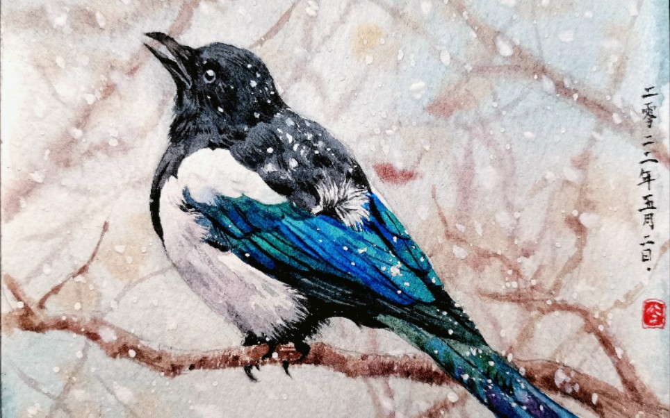 【水彩】喜鹊_哔哩哔哩_bilibili