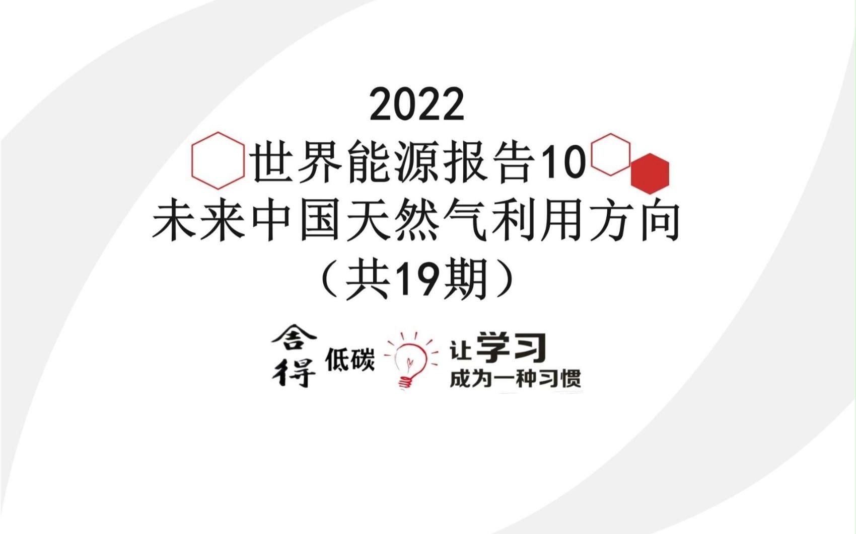 世界能源发展报告(2022)10未来中国天然气利用方向哔哩哔哩bilibili