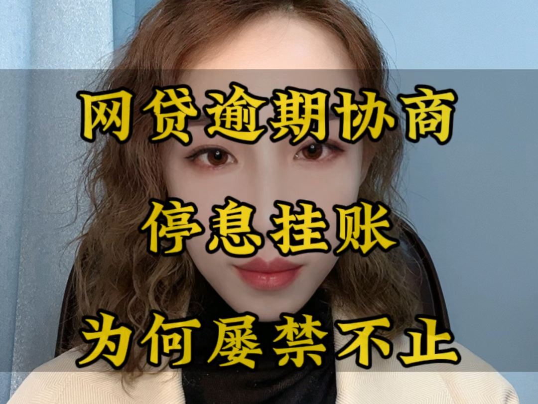 网贷逾期协商、停息挂账,为何屡禁不止?哔哩哔哩bilibili