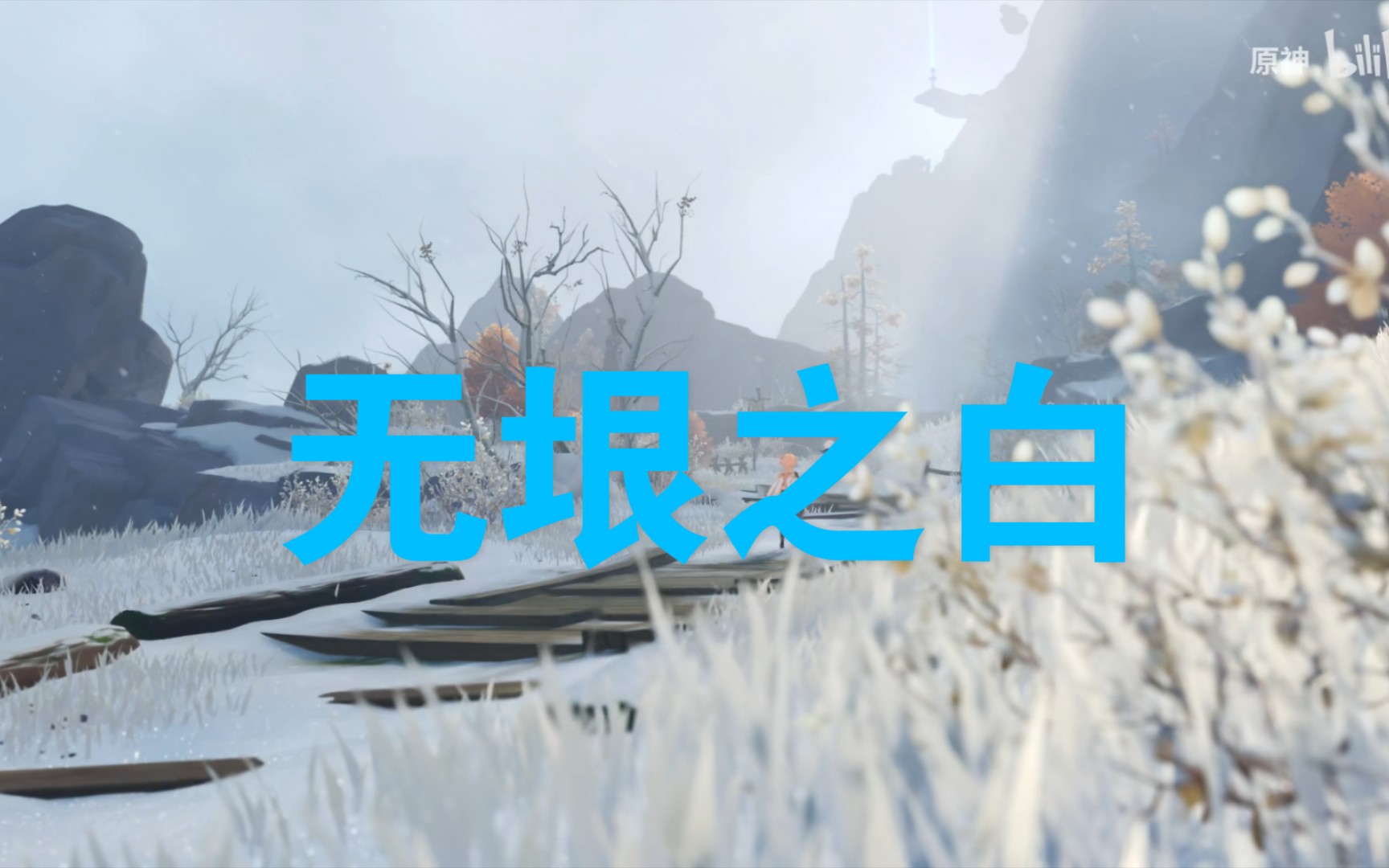 【口琴】无垠之白