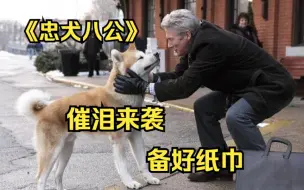 Télécharger la video: 【忠犬八公】主人意外去世，狗狗原地等候10年，根据真实事件改编！