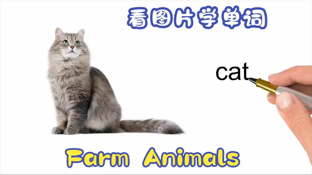 【看图片学单词】Farm Animals 常见动物的名称,你都知道吗?哔哩哔哩bilibili